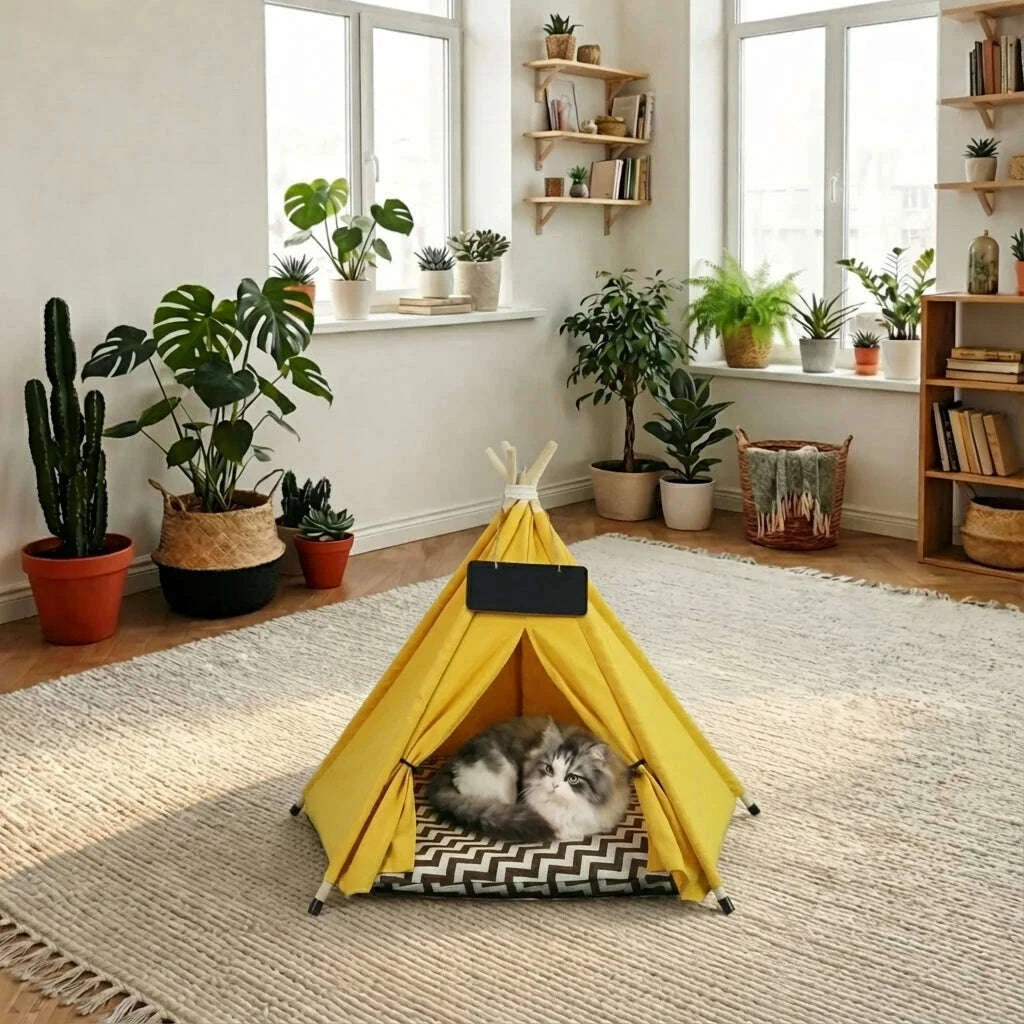 Chat à poils longs gris et blanc installé dans son tipi jaune, salon clair décoré de plantes vertes