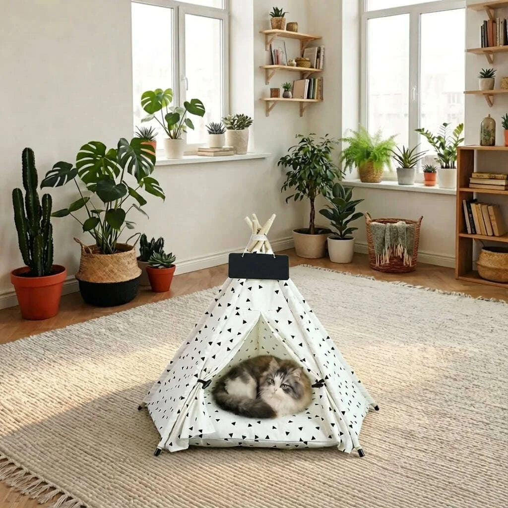 Chat à poils mi-longs gris et blanc couché dans un tipi blanc à triangles, au milieu d'un salon fleuri de plantes
