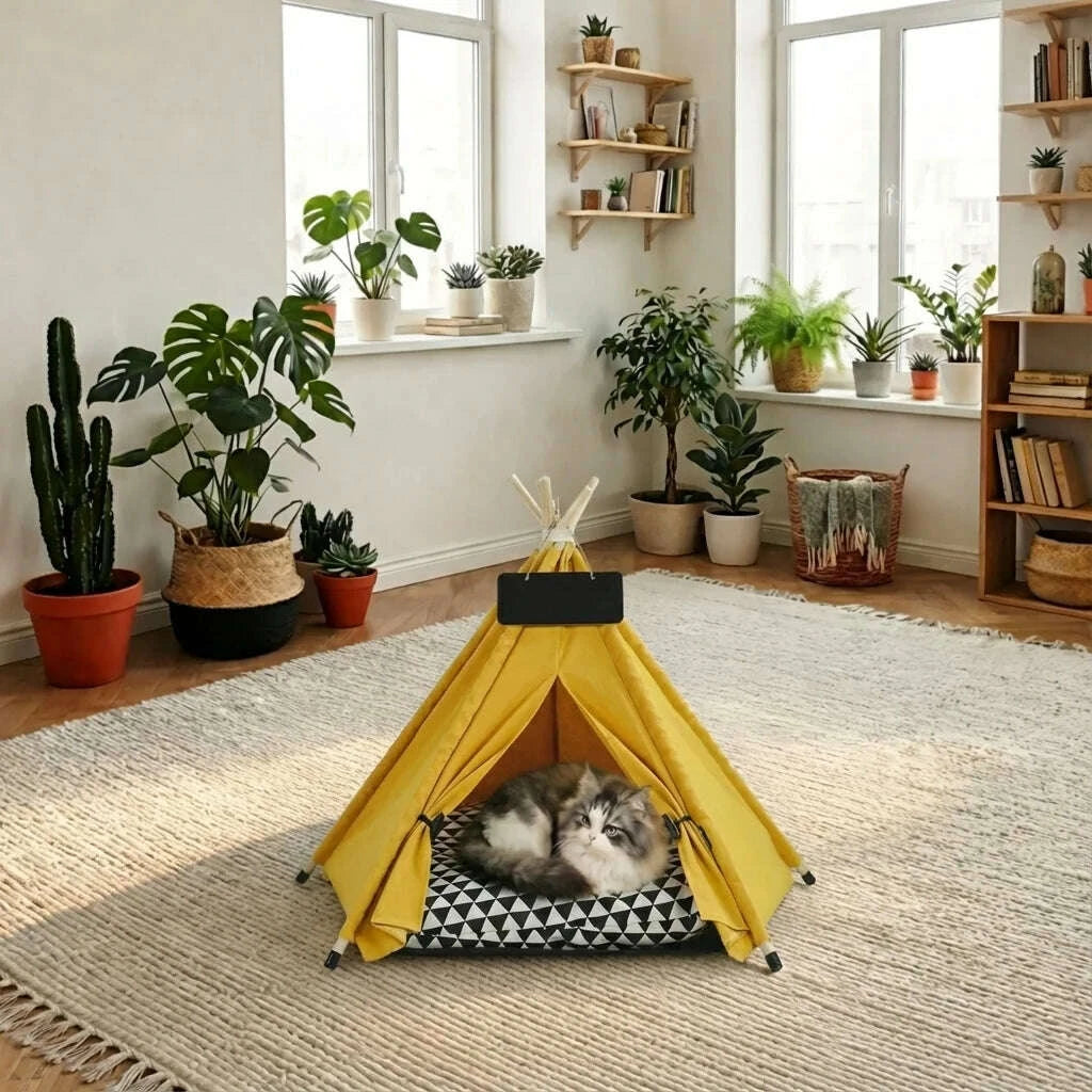 Chat gris et blanc à poils longs couché dans un tipi jaune posé sur un tapis, salon avec plantes