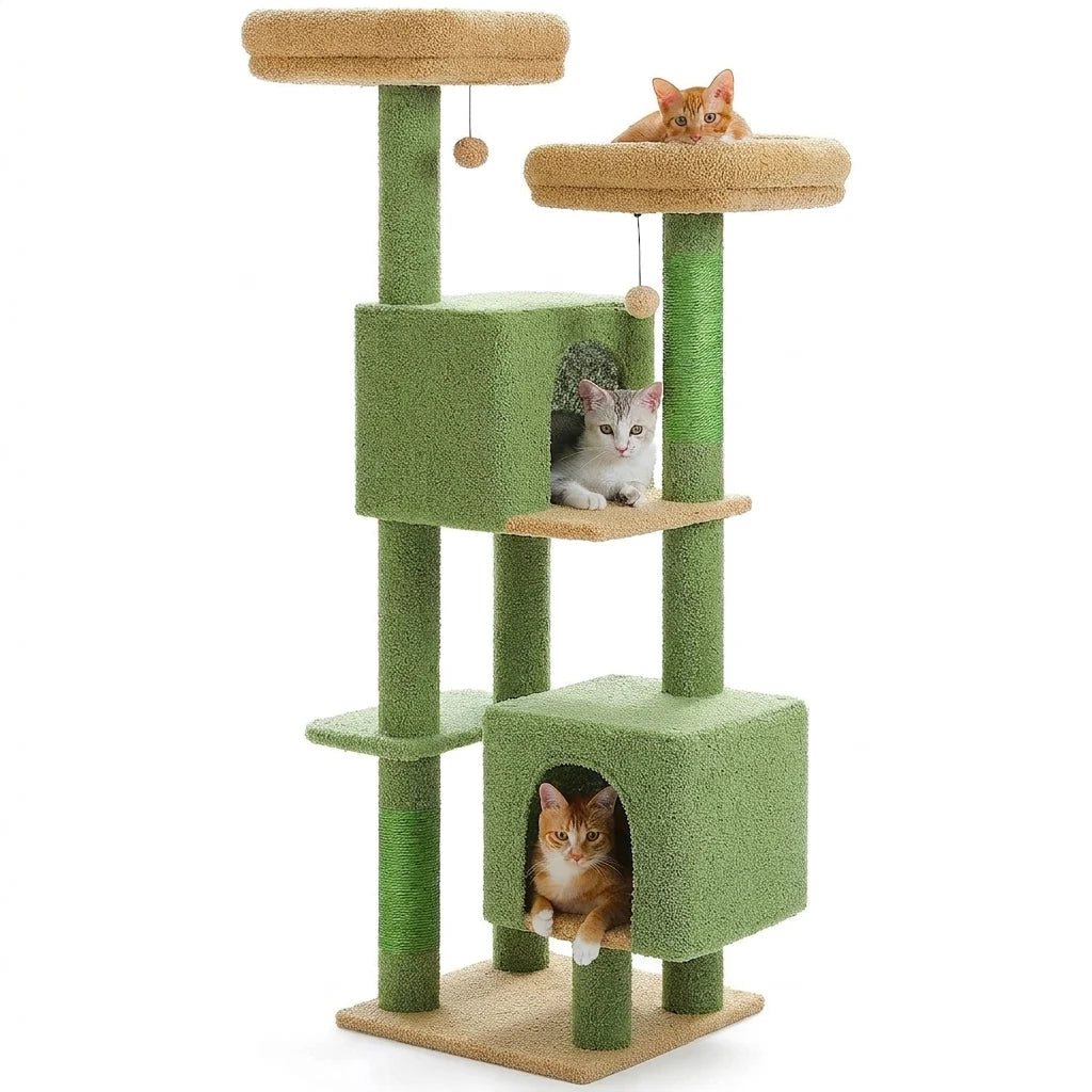 Arbre à chat vert cactus aux plateaux moutarde, chat roux sur le haut