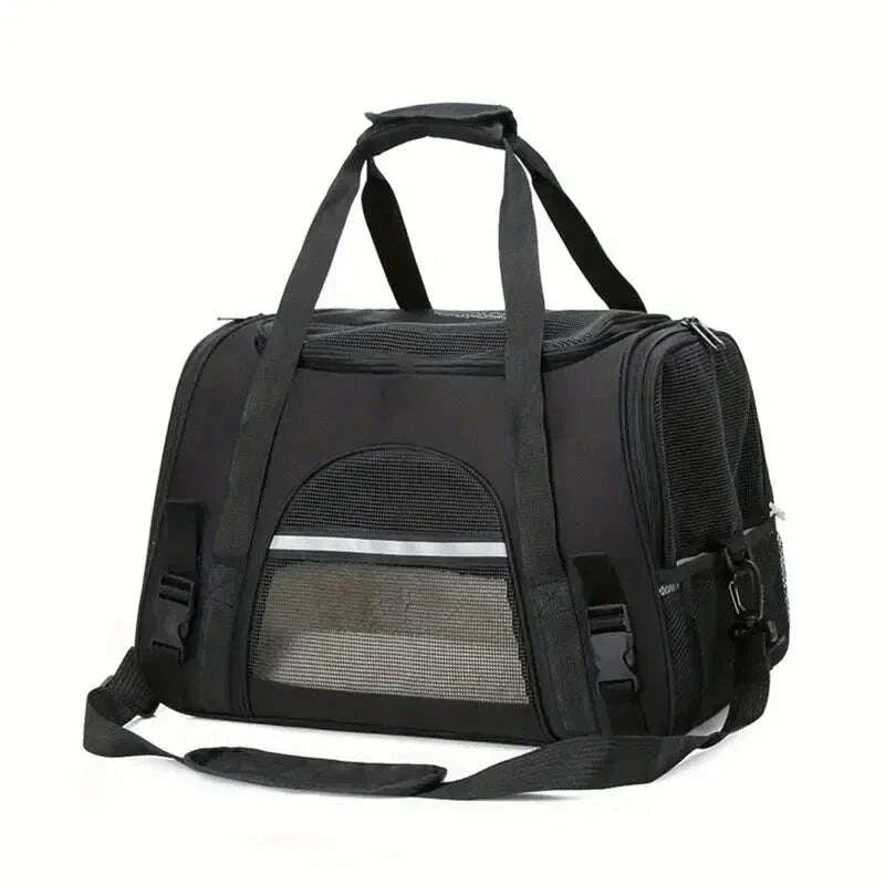 Cat Carrier Bag or Hard Carrier: Which One for Car, Train, Vet?