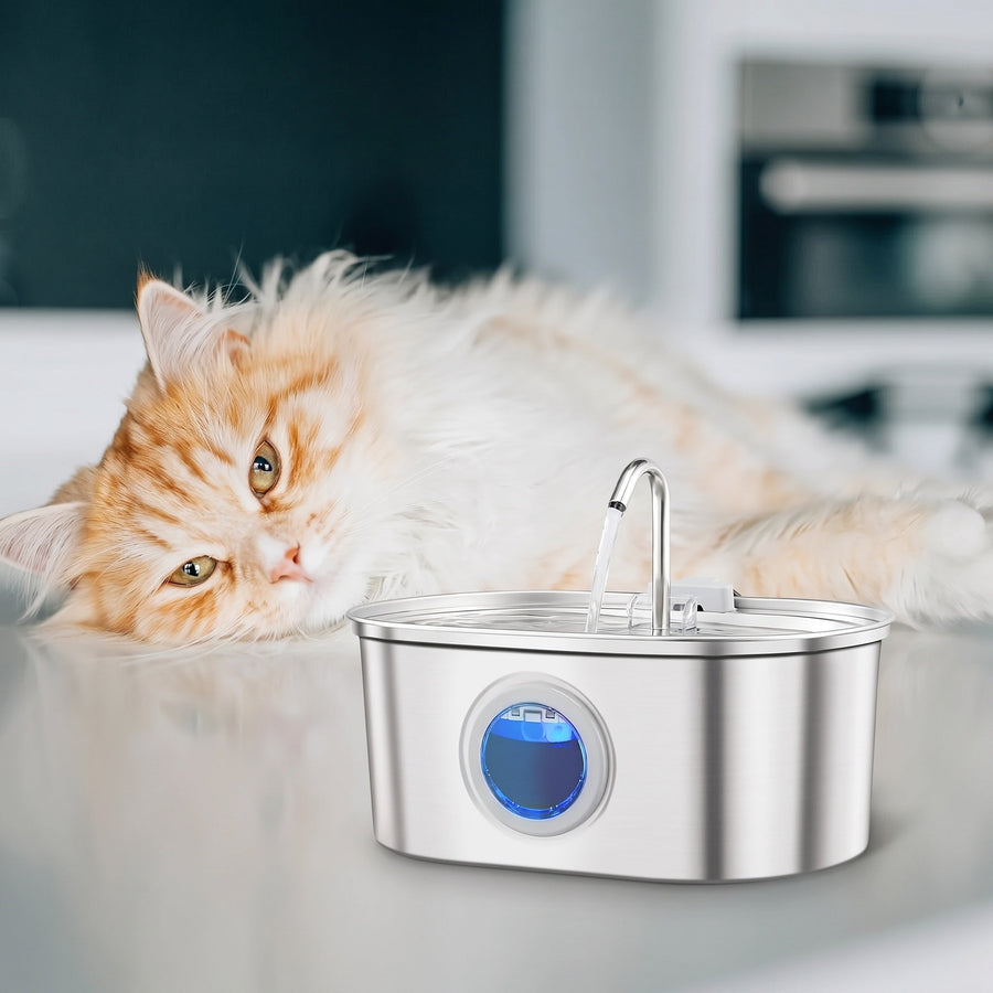 Fontaine à eau pour chat : utile ou gadget ? Le guide pour bien choisir