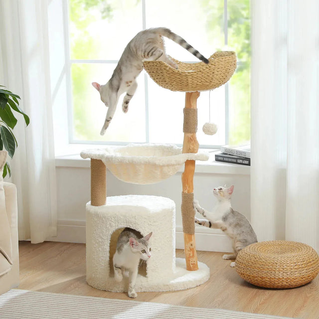 Arbre à chat en bois