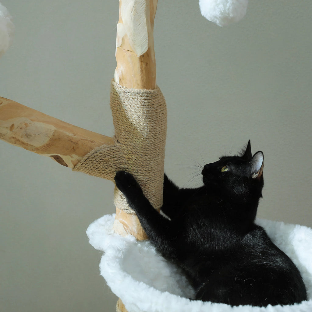 Gros plan sur le tronc en bois avec manchon en corde de jute, chat noir dans le hamac blanc qui griffe le poteau