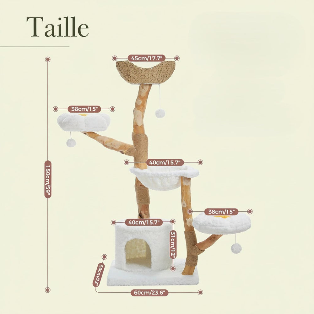 Schéma des dimensions de l'arbre à chat : hauteur 150 cm, base 60 × 56 cm, niche 40 × 31 cm