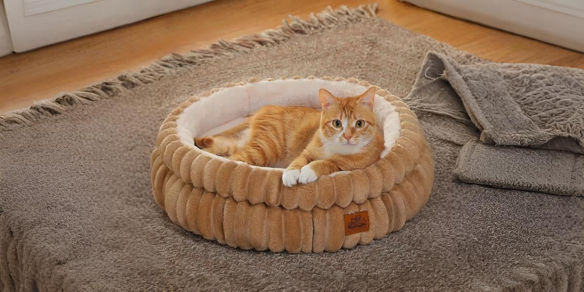 Cat Bed