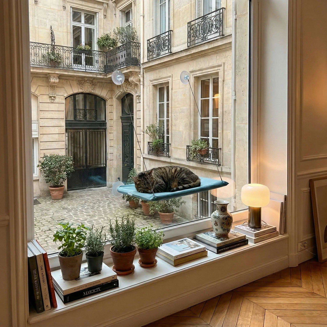 Chat tigré qui dort sur un lit suspendu pour vitre bleu canard, près de livres et de pots d'aromatiques