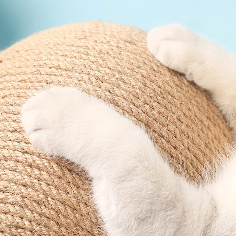 Close-up of a cat's paw on the sisal weave