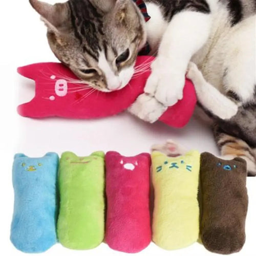 Chat tigré et blanc mordillant un coussin en peluche rose, avec cinq coloris de coussins alignés en dessous