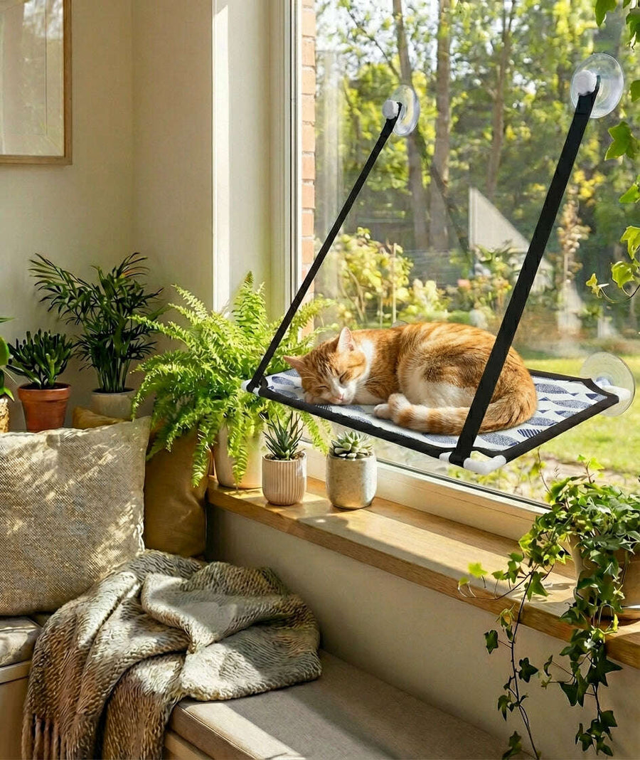 Comfort & Rest