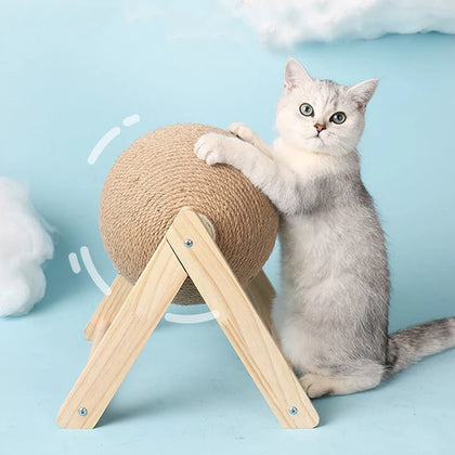 Chat blanc et gris debout, pattes sur une balle en sisal montée sur un support en bois clair, fond bleu