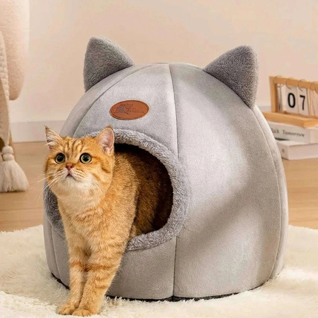 Chat roux sortant d'une niche igloo grise à oreilles, sur un tapis blanc moelleux dans un salon