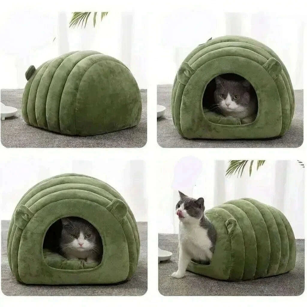 Quatre angles de l'igloo vert pour chat : vue arrière rayée, chat gris et blanc dedans et chat qui se lèche