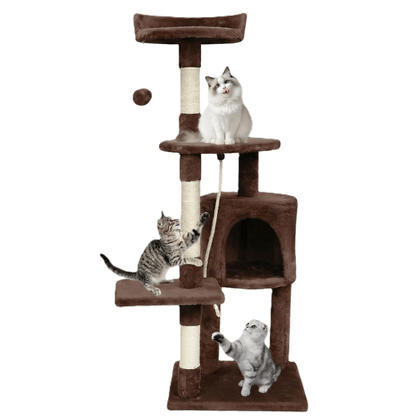 Arbre à chat marron sur fond blanc avec trois chats : ragdoll en haut, tigré qui griffe, scottish fold en bas