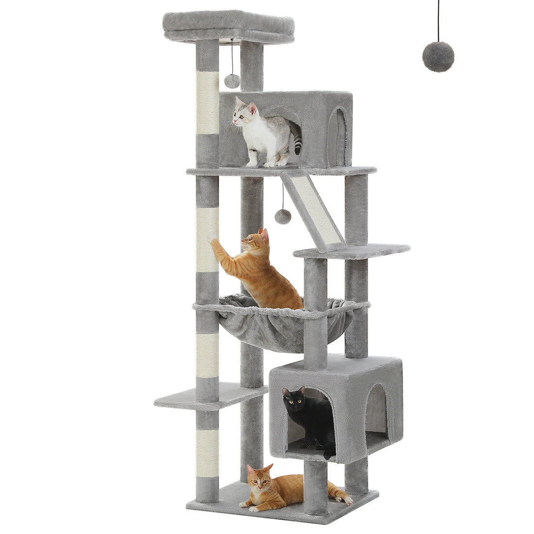 Arbre à chat gris clair avec chaton gris et blanc en haut, chat roux sur le hamac, chat noir en niche et roux au sol