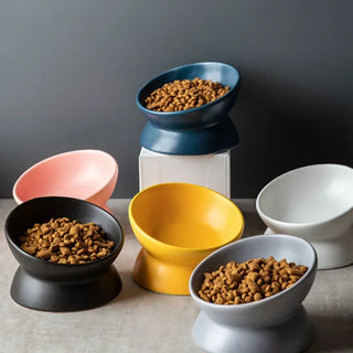 ErgoBowl: 15° Tilted Ceramic Cat Bowl