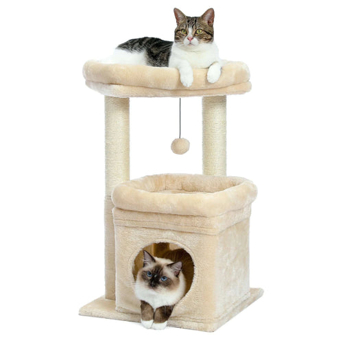 Arbre à chat beige à deux niveaux avec un chat tigré sur le plateau et un ragdoll dans la niche