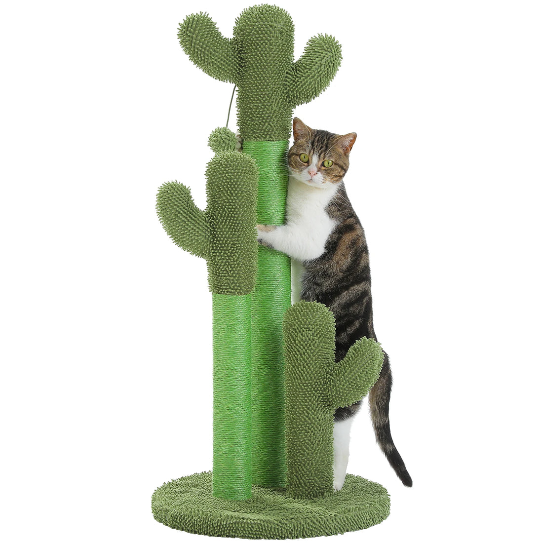 Chat tigré et blanc serré contre le poteau central d'un griffoir cactus vert, base ronde en peluche verte