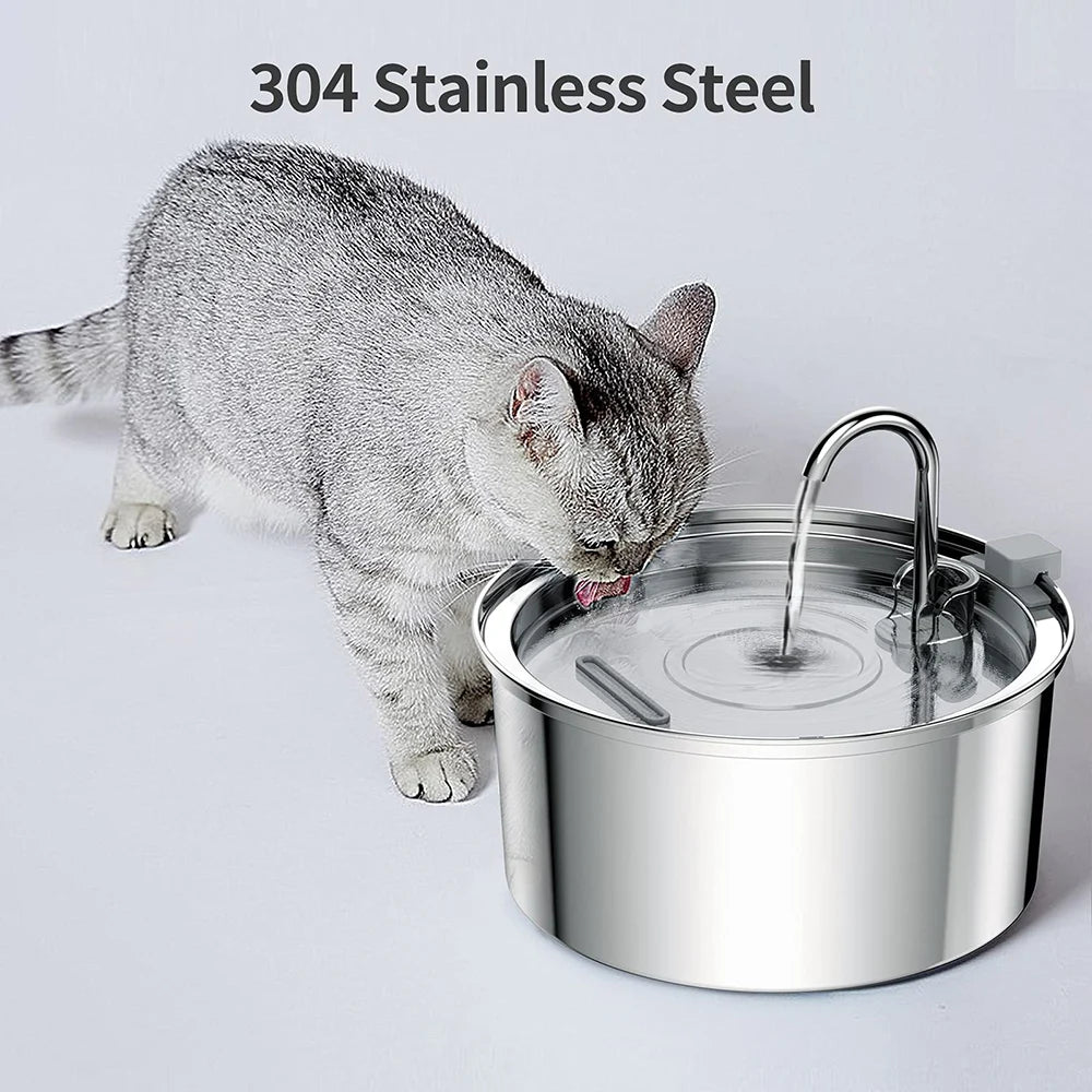 Chat tigré gris en train de boire dans une fontaine inox, mention acier inoxydable 304
