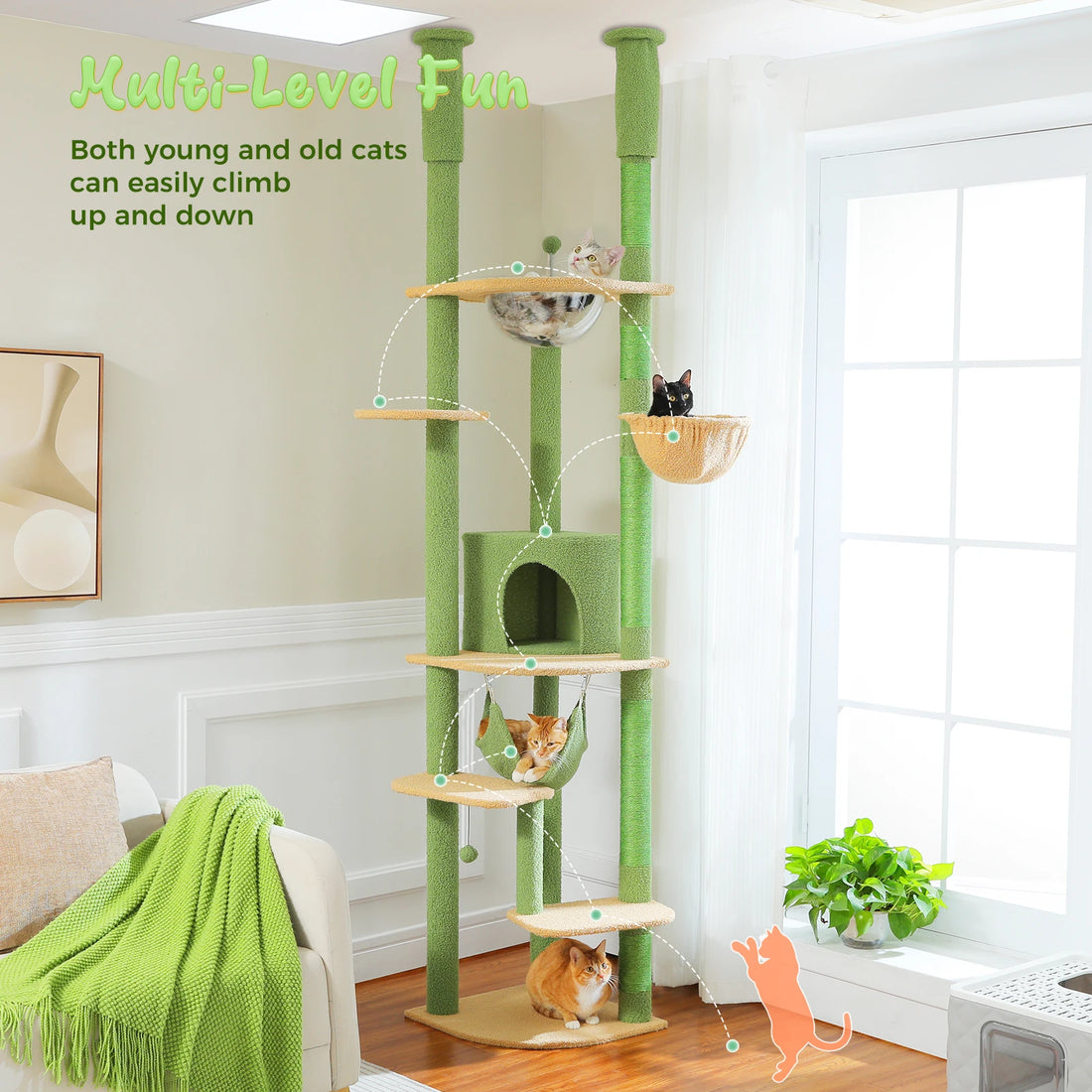 Griffoir sur pied vert du sol au plafond, chat roux dans le hamac, chat noir dans le panier et chat gris en haut