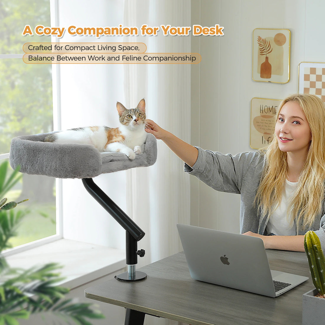 Femme caressant un chat calico installé sur un coussin de bureau gris fixé à la table, près d'une fenêtre