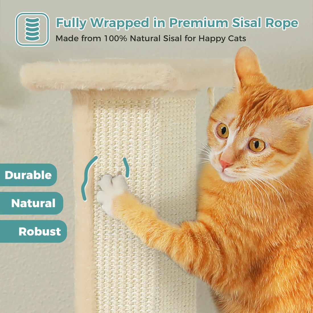 Gros plan sur le sisal naturel tressé du griffoir beige, chat roux posant la patte dessus