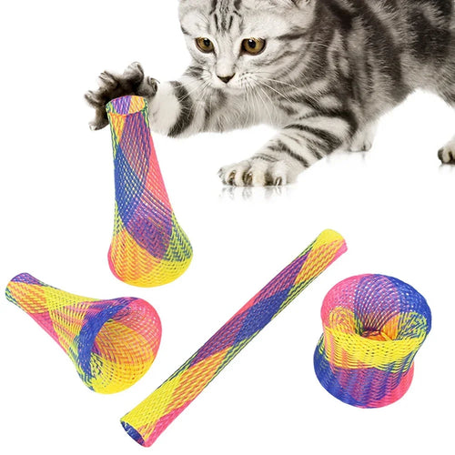 Chat tigré gris tendant la patte vers des tubes ressorts multicolores, étirés, en cône et en anneau