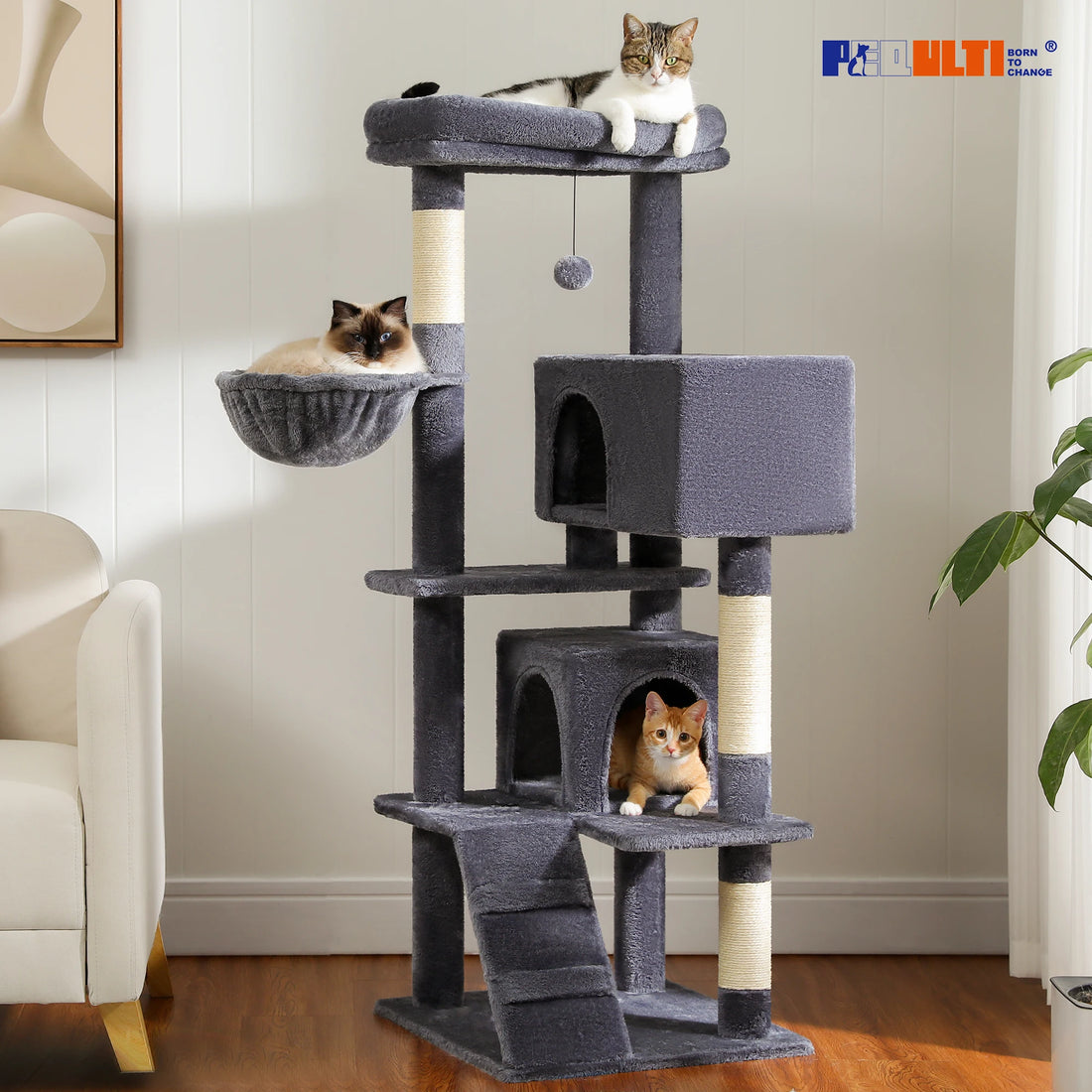 Grand arbre à chat gris foncé avec échelle, chat tigré au sommet