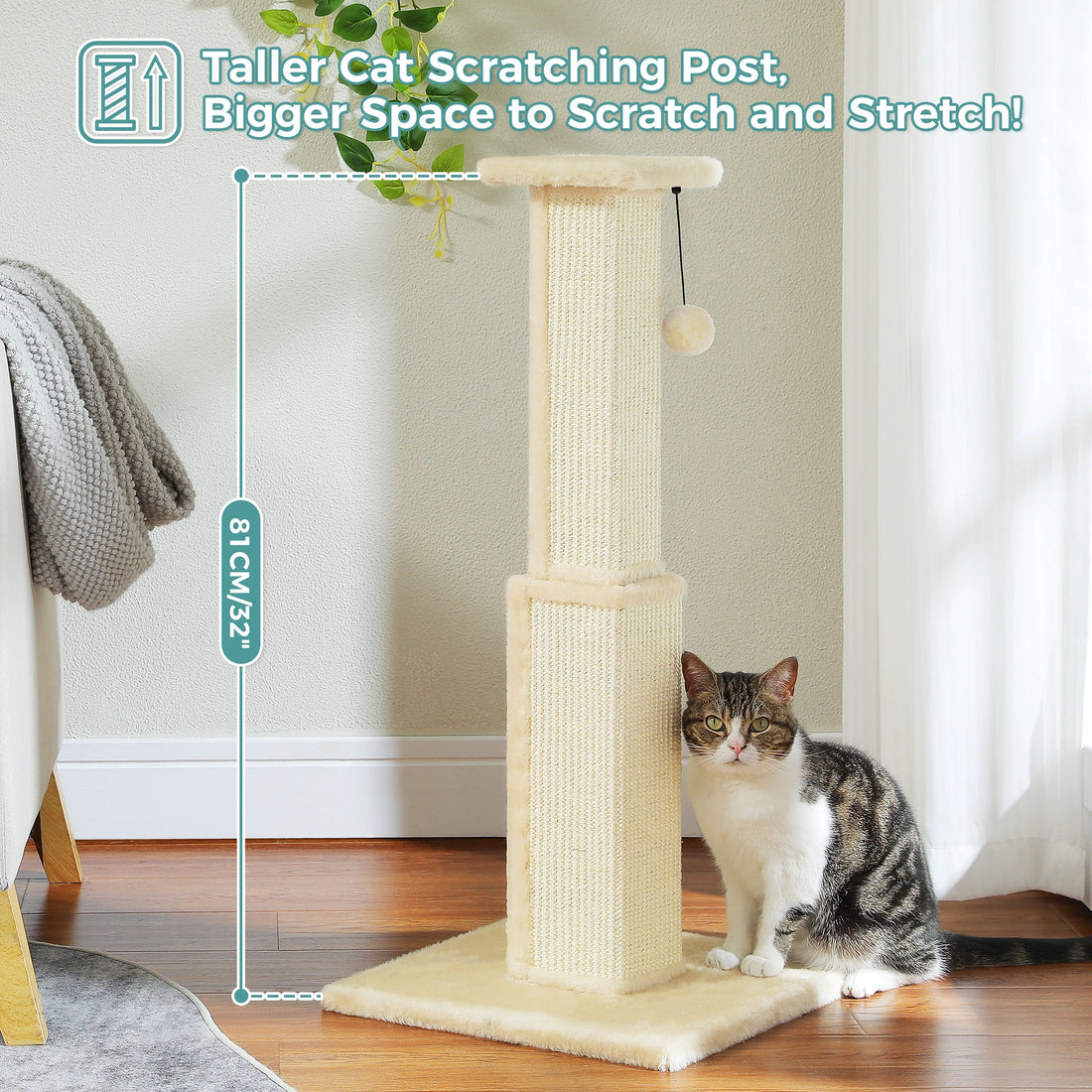 Griffoir haut crème de 81 cm côté cote, chat tigré et blanc assis face caméra contre la base