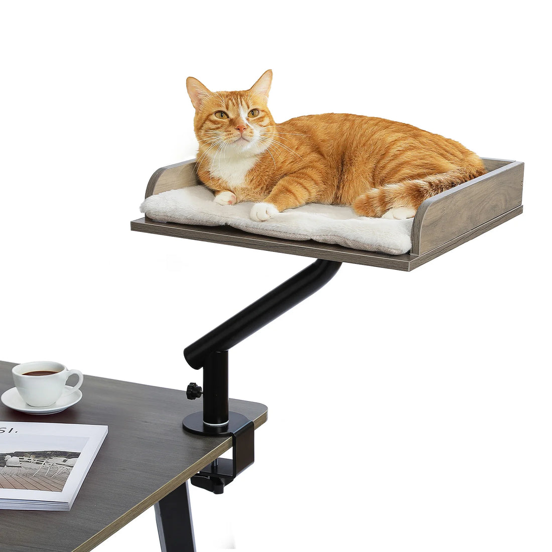 Chat roux installé sur un lit de bureau gris à bras noir, posé près d'une tasse de café et d'un magazine