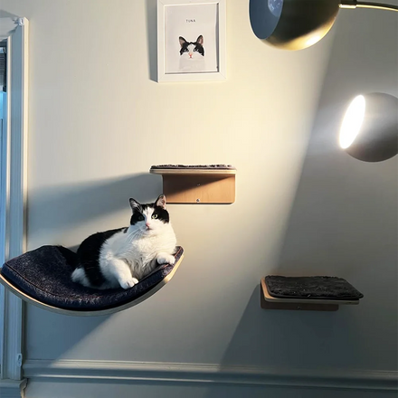 Chat noir et blanc allongé sur un hamac mural incurvé, avec deux petites marches en bois fixées au mur
