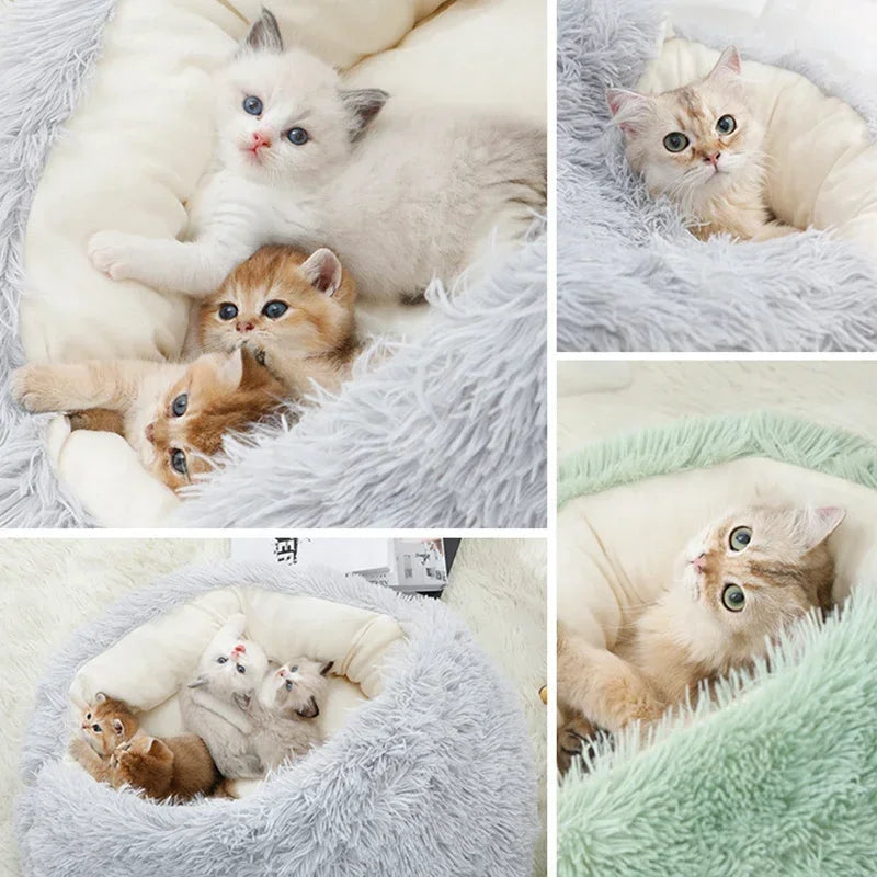 Collage de chatons roux, blancs et beiges installés dans des paniers en peluche grise et verte