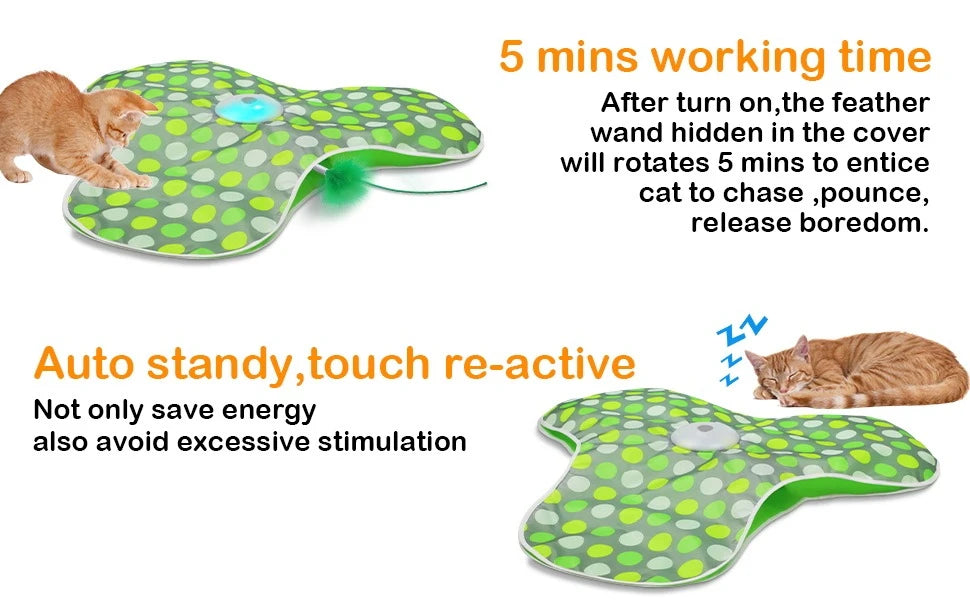 Chaton roux jouant sur le tapis vert et chat endormi en veille, plume rotative active pendant 5 minutes
