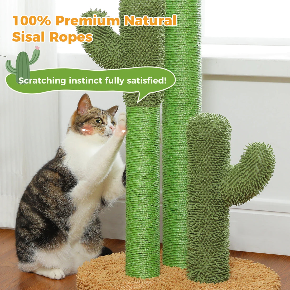 Chat blanc et tigré debout, patte levée sur le poteau en sisal vert d'un griffoir cactus à base beige