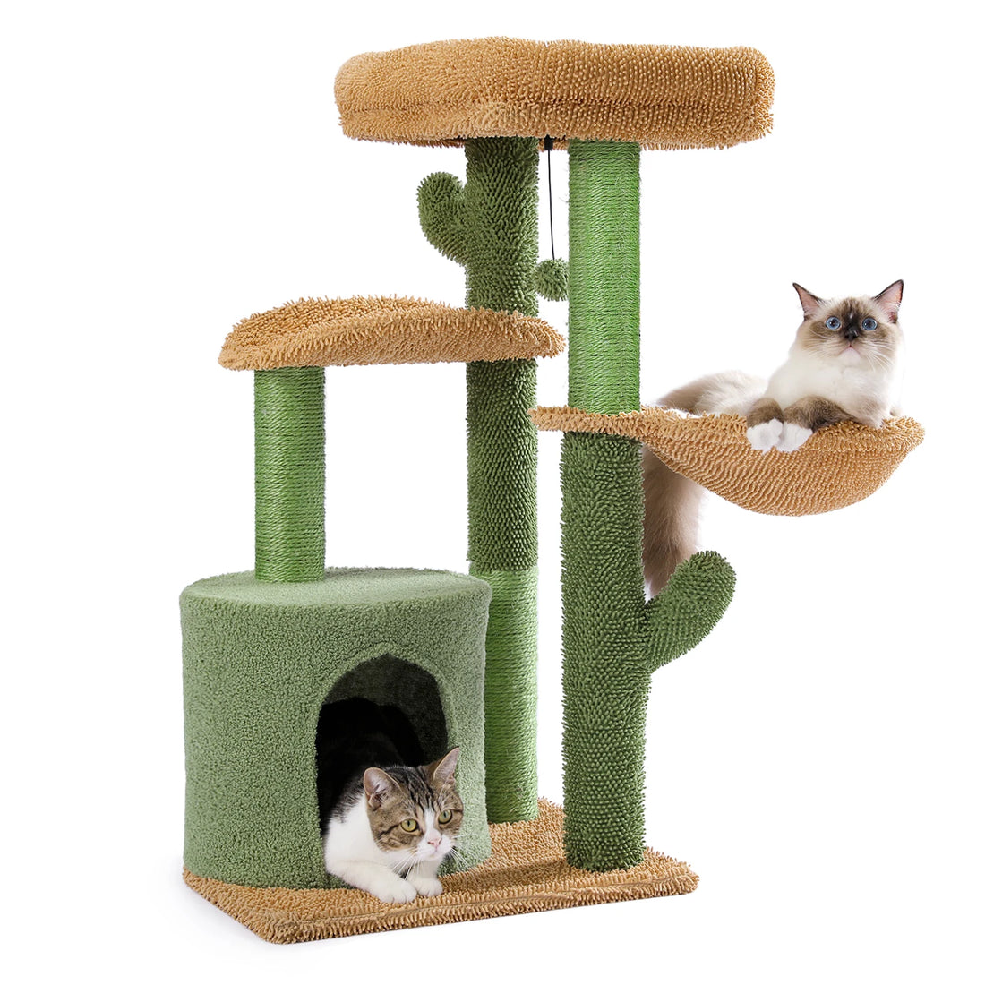 Chat ragdoll allongé dans le hamac beige d'un arbre à chat cactus, chat tigré couché dans la niche