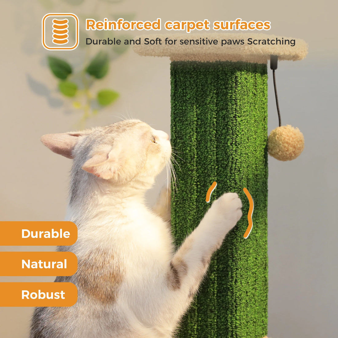 Chat blanc et beige posant la patte sur le revêtement vert moquette d'un poteau à griffer, pompon beige à côté