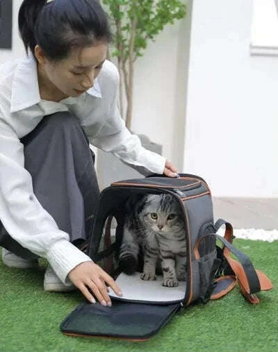 Femme accroupie sur du gazon ouvrant le sac gris à liserés orange où un chat tigré est installé sur un tapis