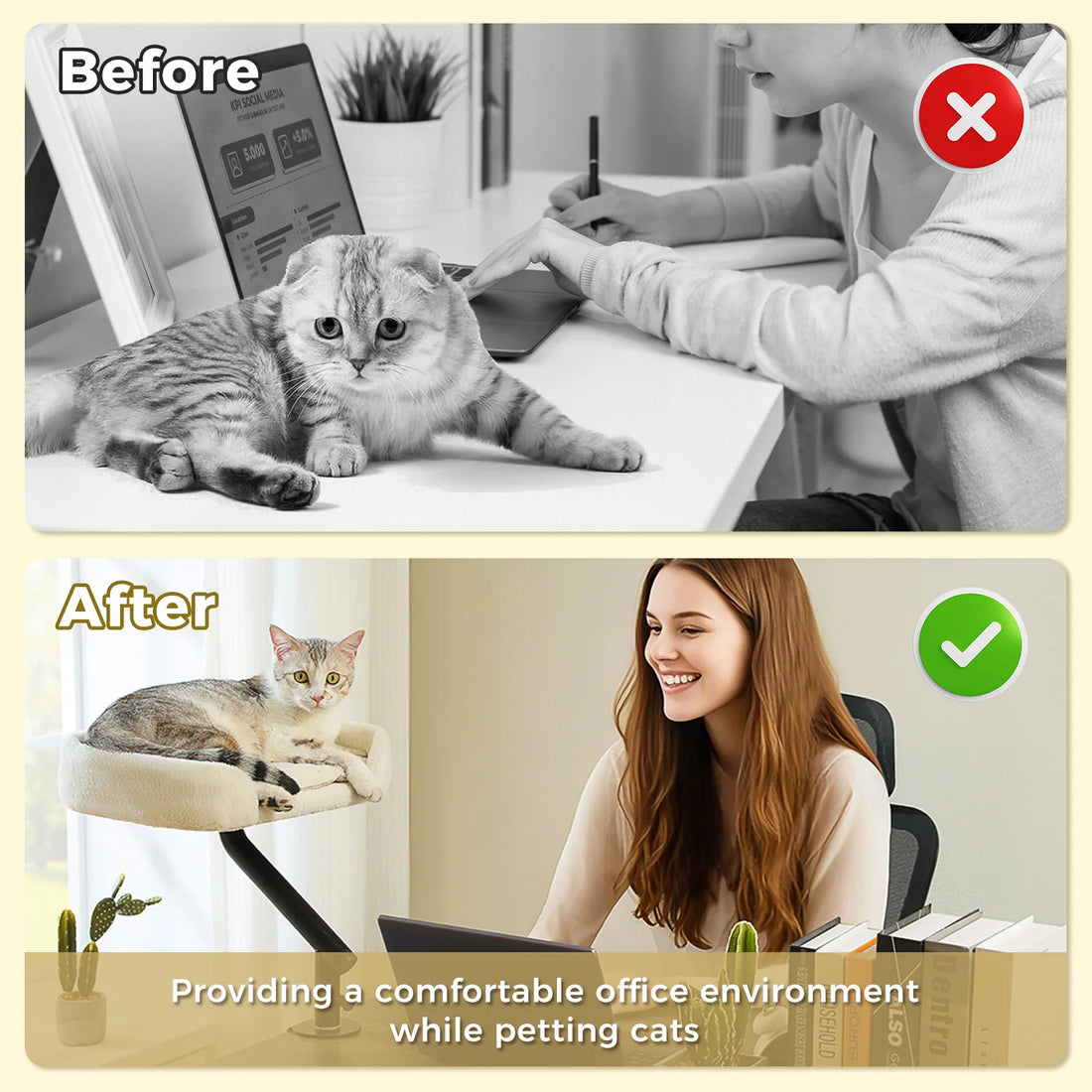 Comparatif avant-après : chat sur le bureau gênant le travail, puis chat installé sur son coussin perché à côté