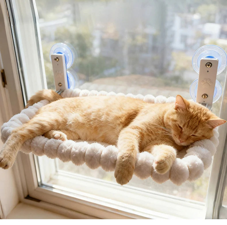 Gros plan sur un chat roux somnolant, pattes avant dépassant du hamac de vitre en peluche blanche