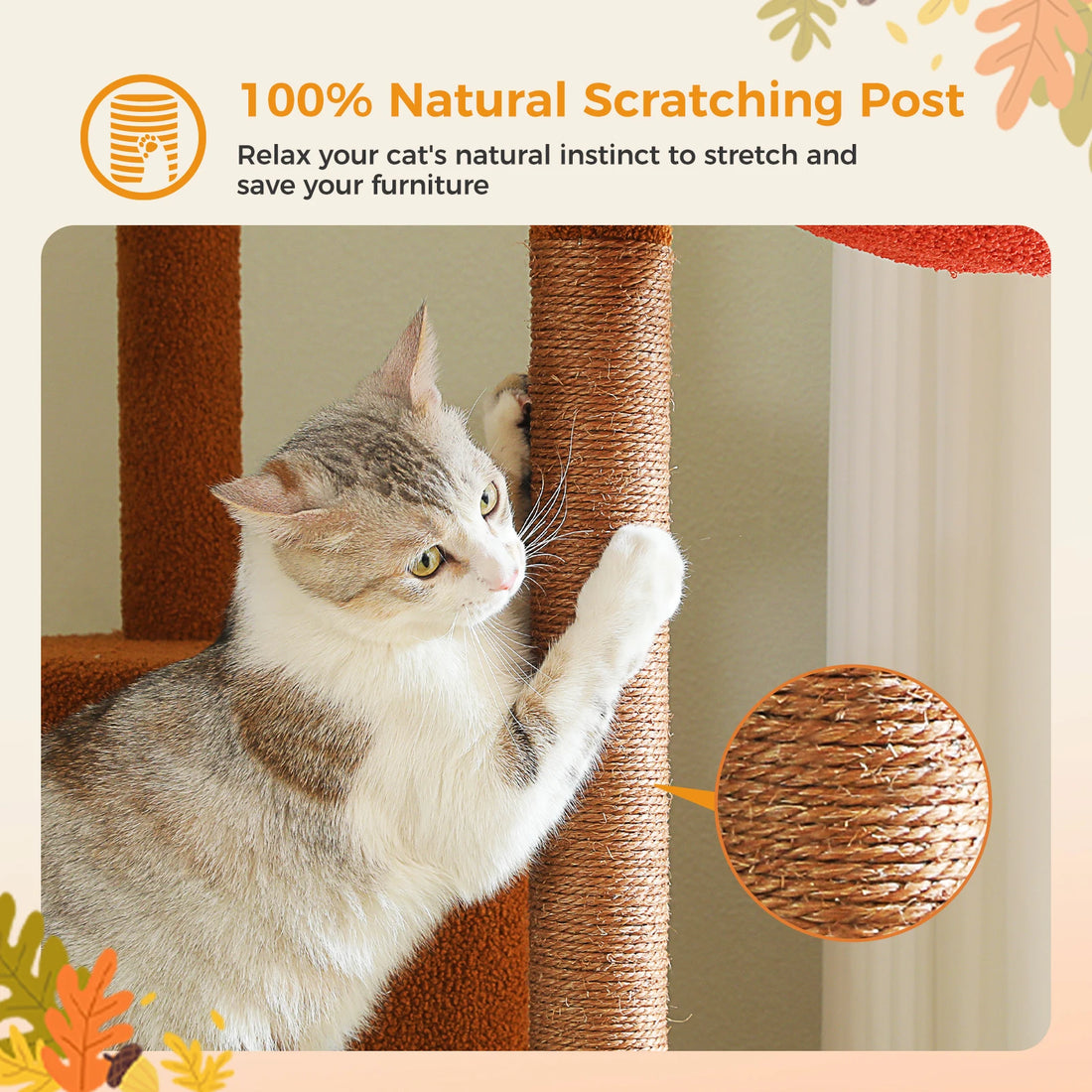 Chat blanc et tigré qui s'étire contre un poteau en sisal naturel, avec zoom sur la corde tressée brun-roux