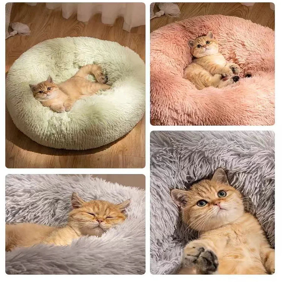 Quatre vues d'un chat roux se reposant dans des corbeilles pelucheuses vert pâle, rose et grise