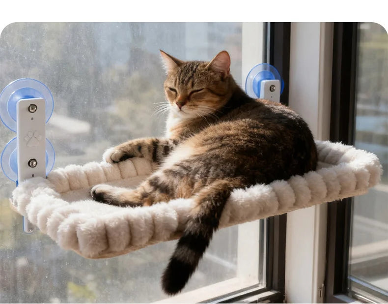 Chat tigré brun allongé sur un hamac de fenêtre en peluche crème, tenu à la vitre par des ventouses bleues