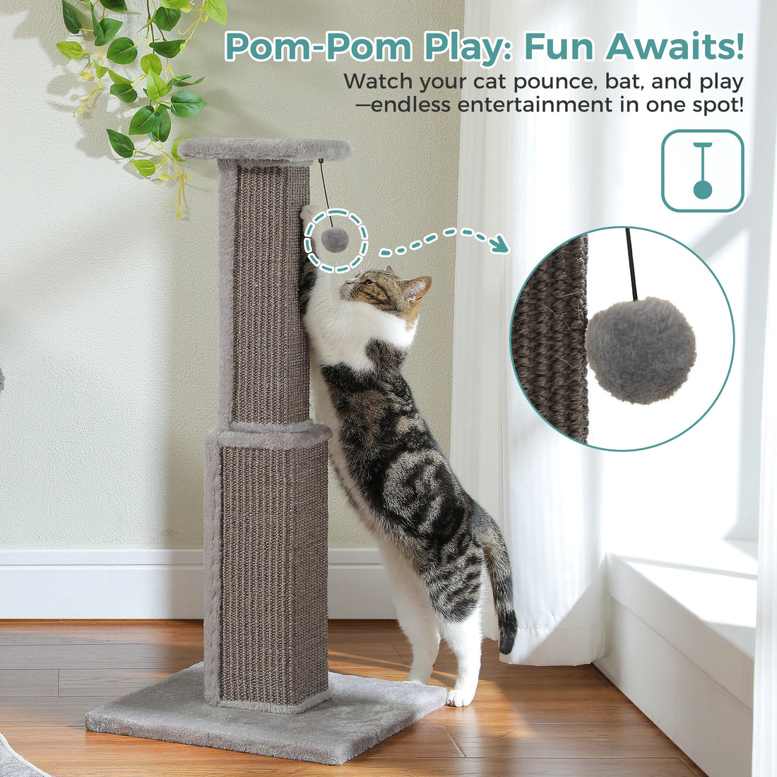 Chat tigré gris et blanc jouant avec le pompon du griffoir gris, gros plan du pompon en médaillon