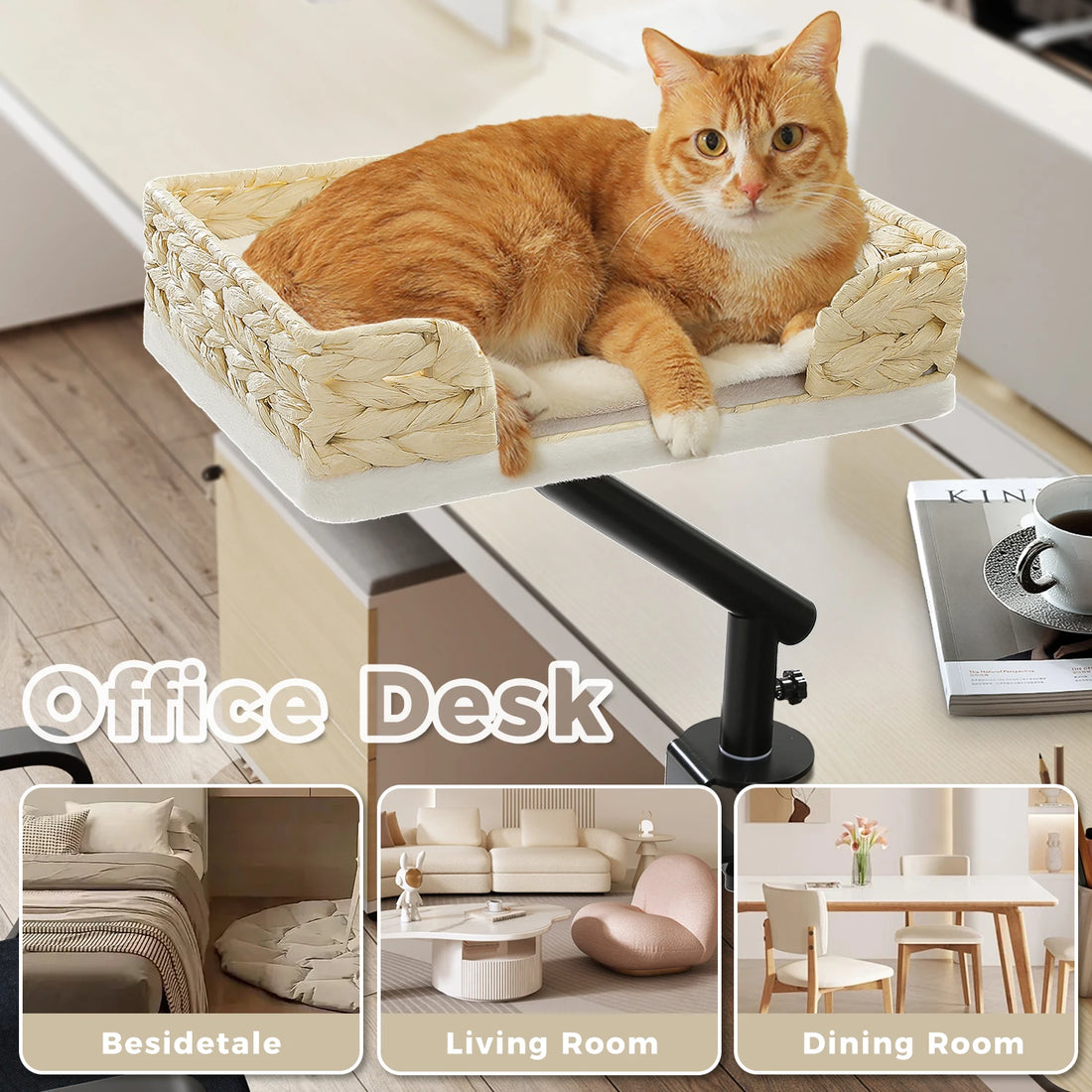 Chat roux allongé dans un panier tressé fixé à un bureau, avec aperçus chambre, salon et salle à manger