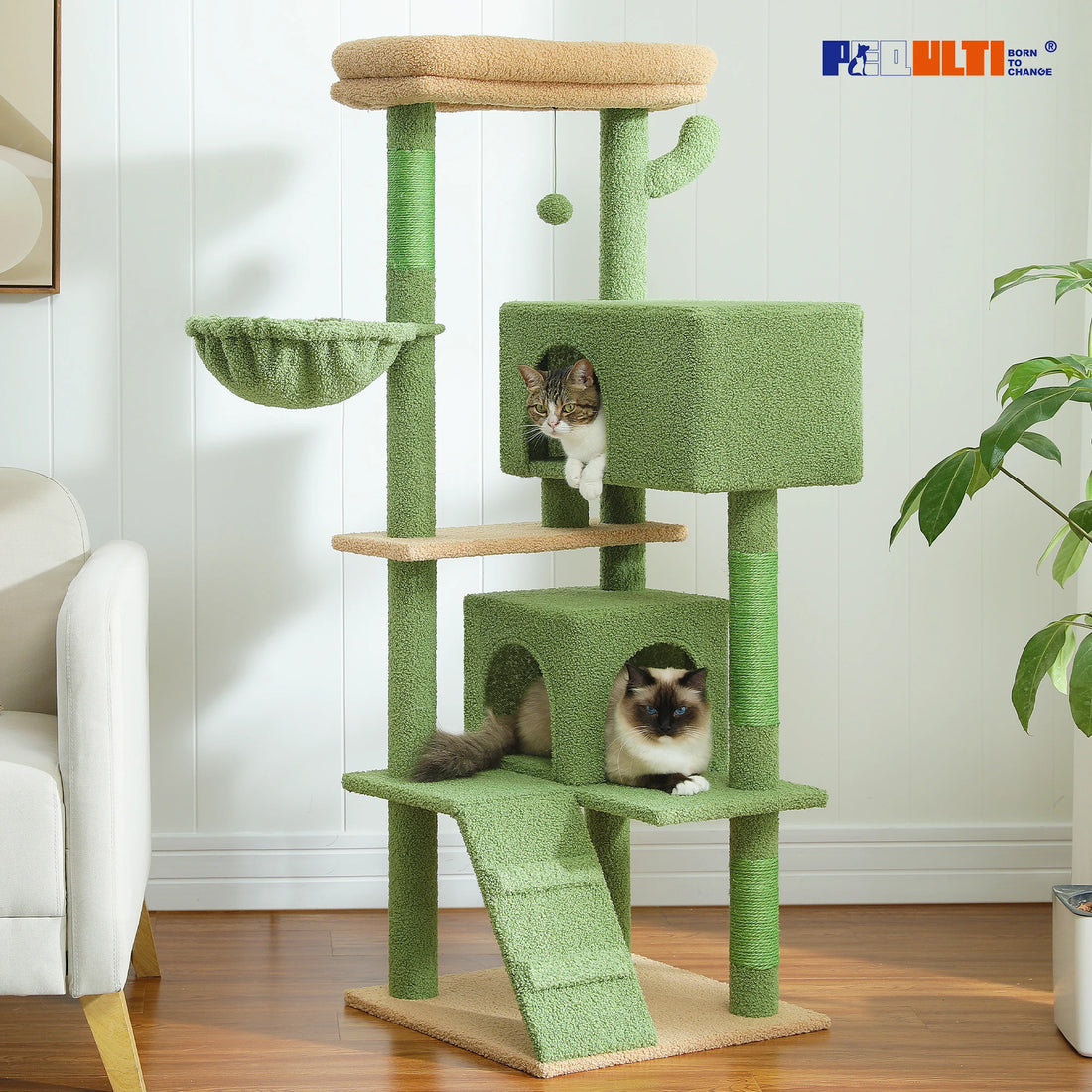 Arbre à chat vert façon cactus avec chat tigré dans la niche haute et siamois dans la niche basse, près d'un fauteuil