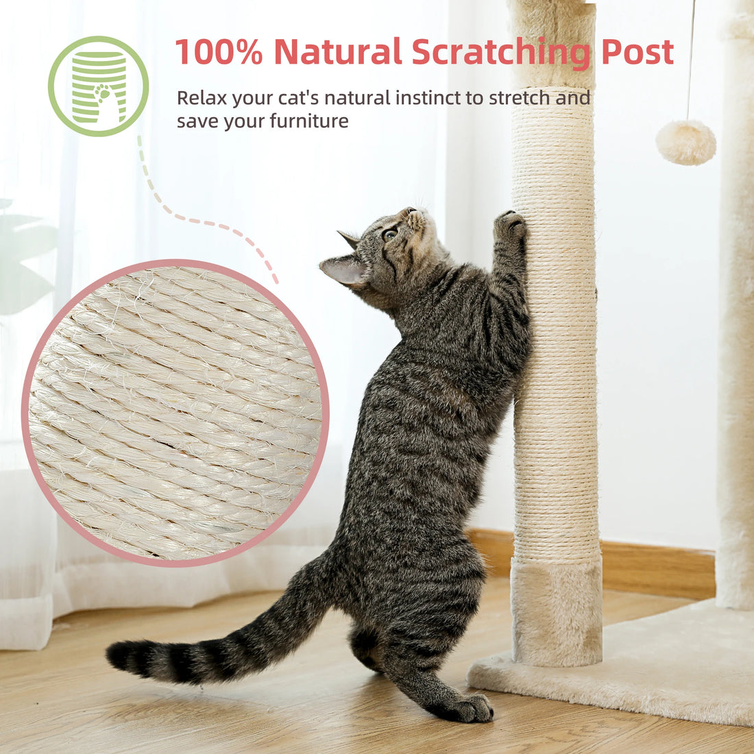 Chat tigré dressé contre un poteau en sisal naturel, avec zoom sur la corde de sisal et message sur le griffage