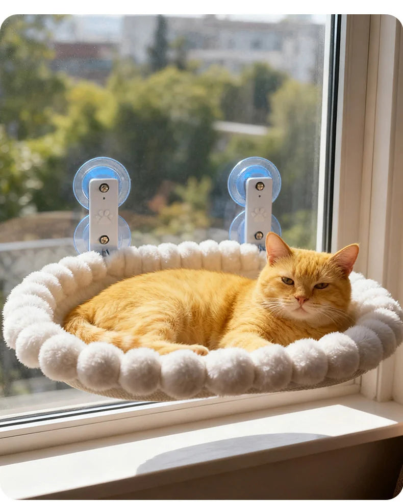 Chat roux lové dans un panier de fenêtre à ventouses en peluche blanche à pompons, sur un rebord ensoleillé
