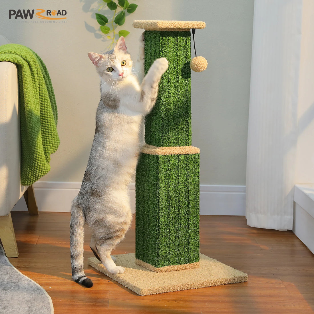 Chat gris et blanc debout contre un poteau à griffer vert et beige, plaid vert et parquet en arrière-plan
