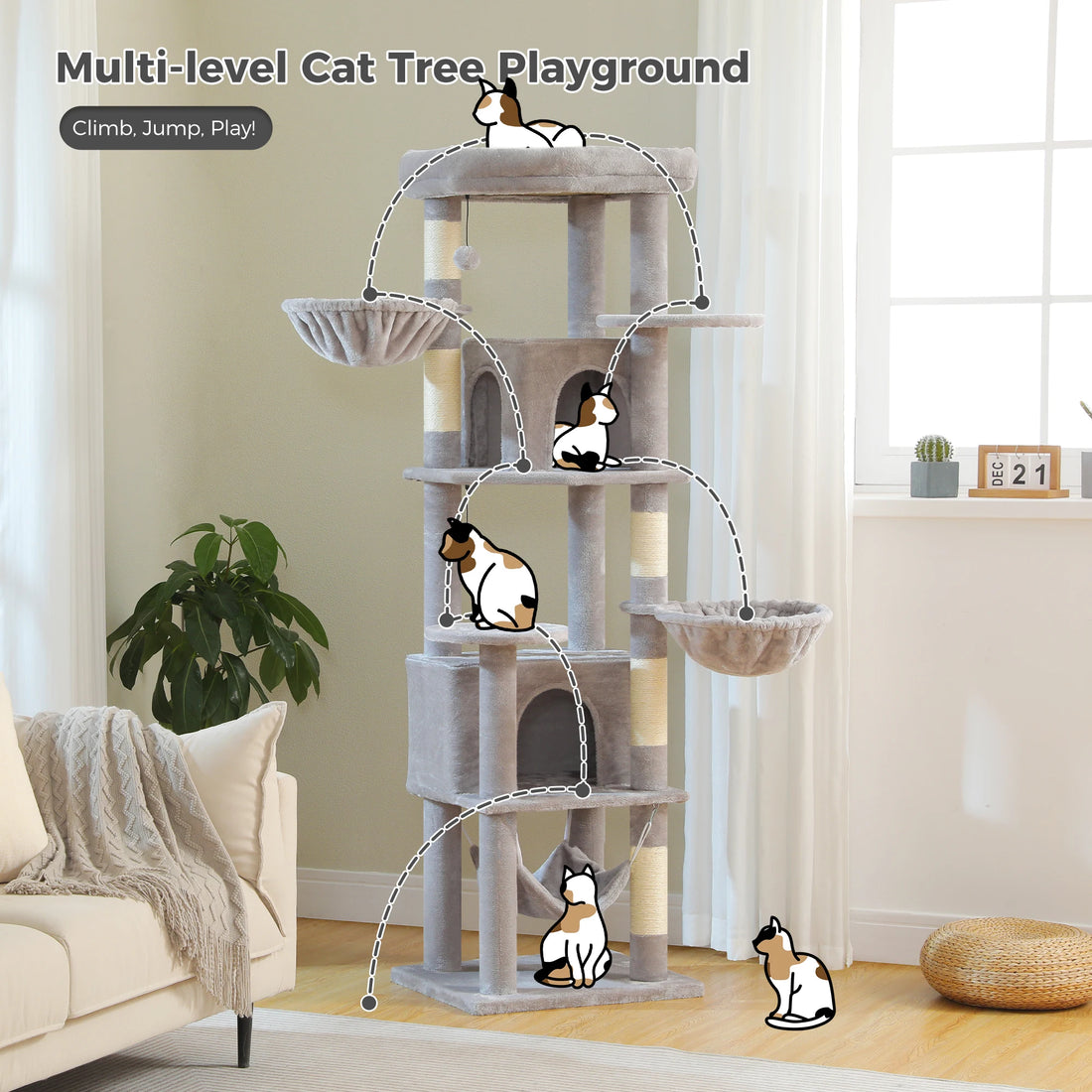 Illustration des parcours de saut entre les niveaux d'un arbre à chat gris