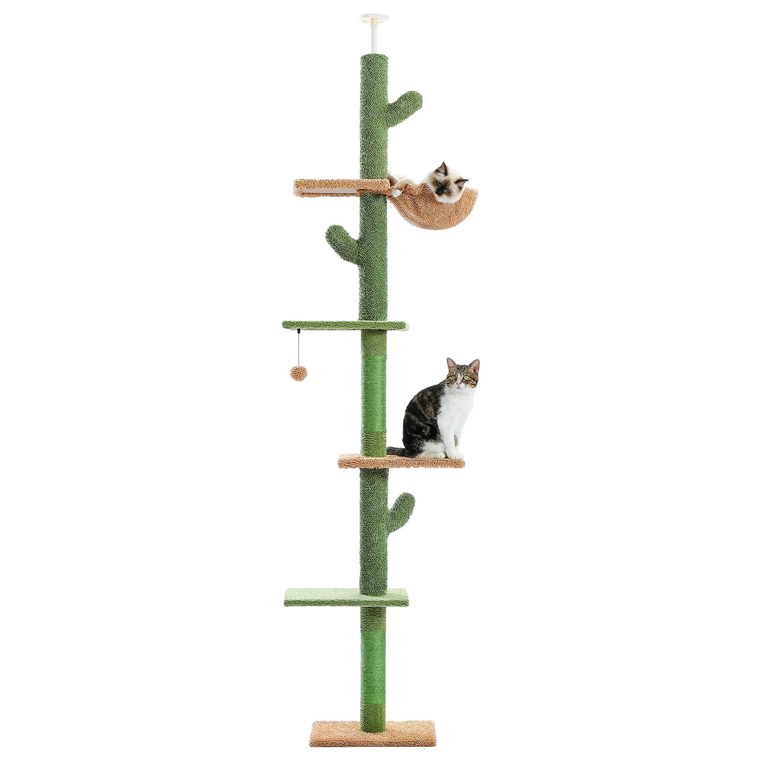 Colonne à chat cactus de face, du socle au plafond, avec pompon suspendu